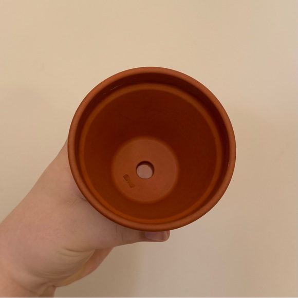 Terracotta Planter Plant Pot with Saucer - Picture 2 of 3